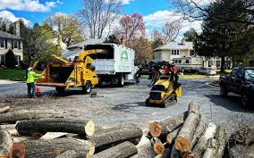 Best Organic Lawn Care Solutions  in Scotia, NY